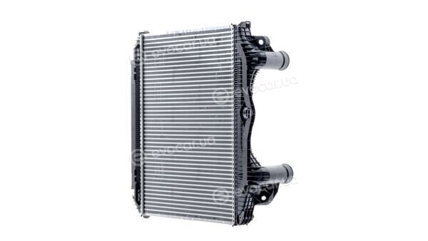 Mahle CI 119 000P