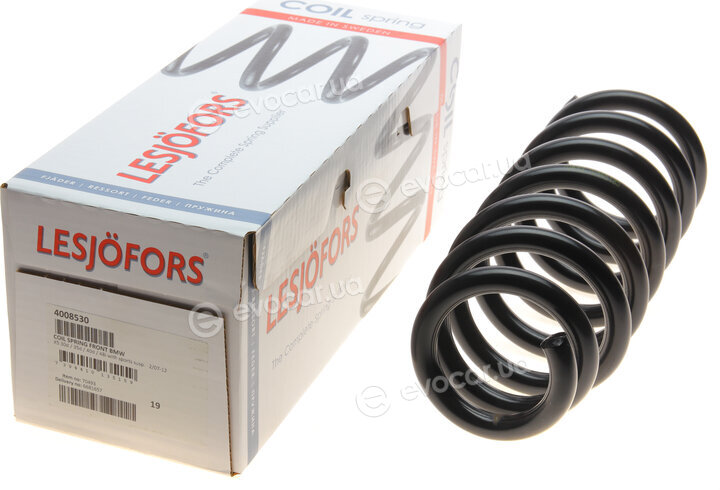 Lesjofors 4008530