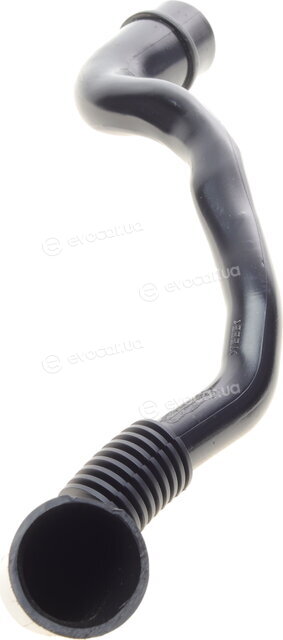 AIC 54775