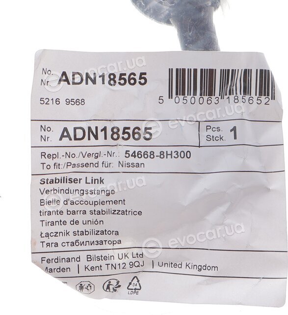 Blue Print ADN18565
