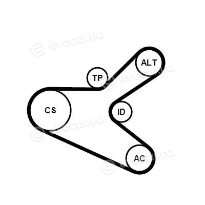 Continental 6PK1153K2