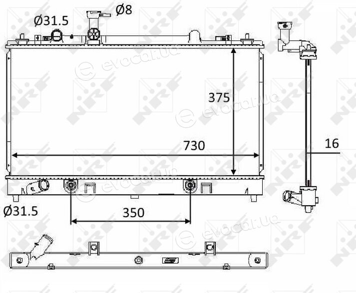 NRF 58560