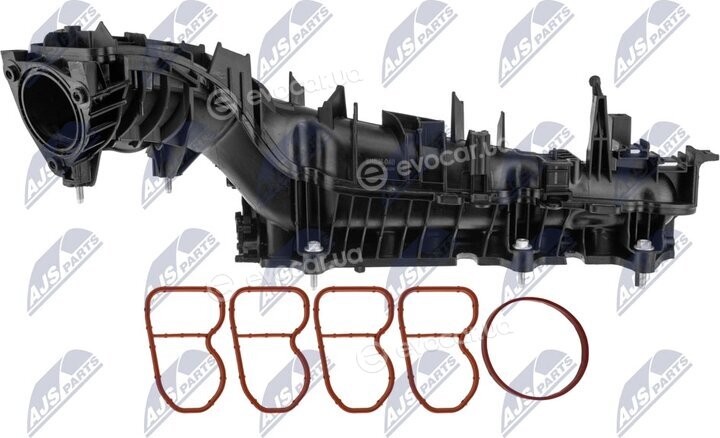 NTY BKS-BM-040
