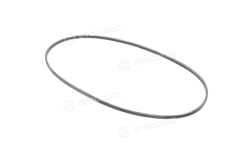 Continental 3PJ891