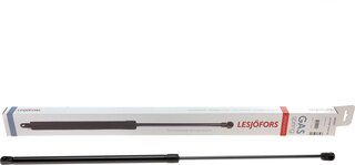 Lesjofors 8095027