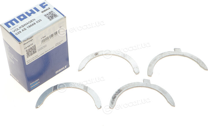 Mahle 029 AS 18668 025