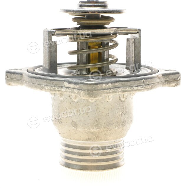 Mahle TM 11 105