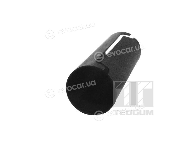 Tedgum 00729884