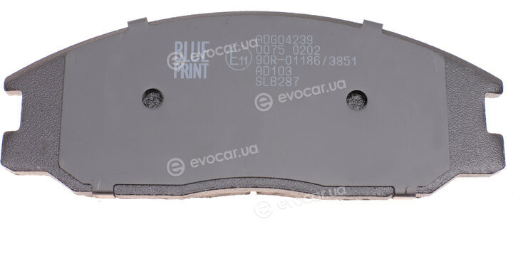 Blue Print ADG04239