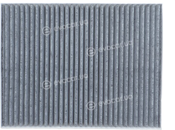 Solgy 104078