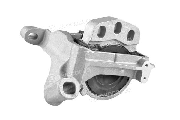 Tedgum TED54109