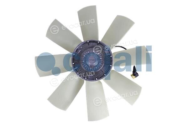 Cojali 7025410