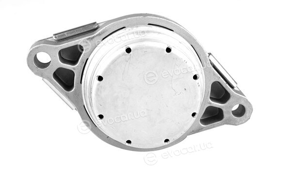 Tedgum TED67295
