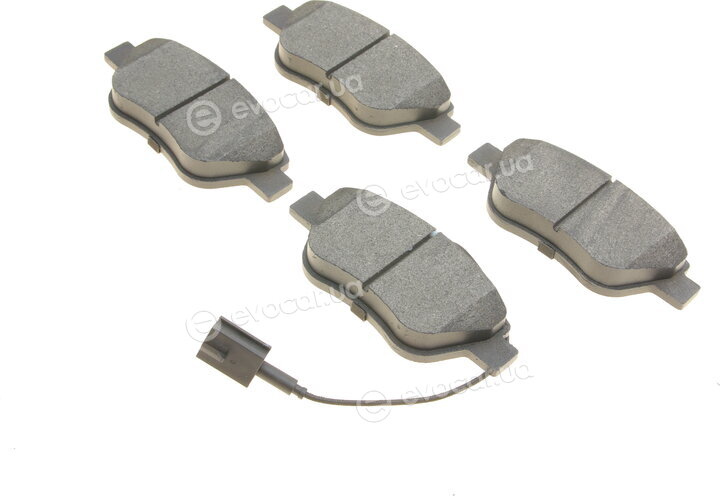 Solgy 209044
