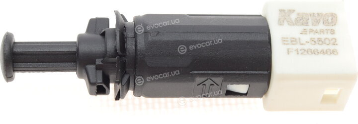 Kavo EBL-5502