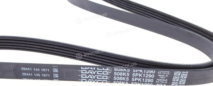 Dayco 5PK1290