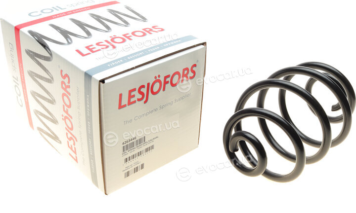 Lesjofors 4263446