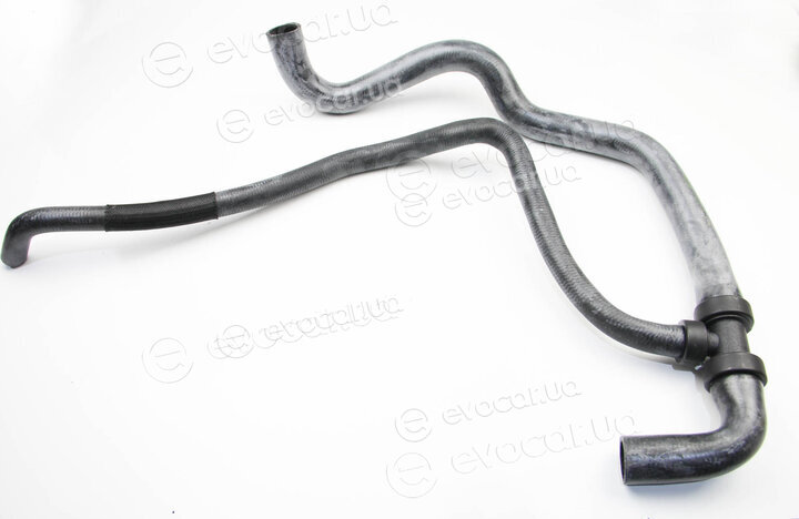 Rapro R12531