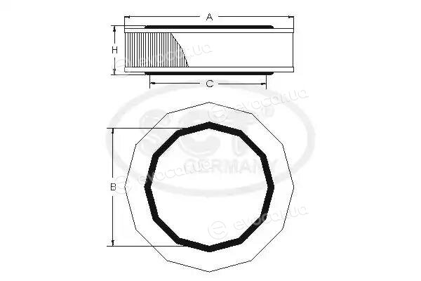 SCT SB 204