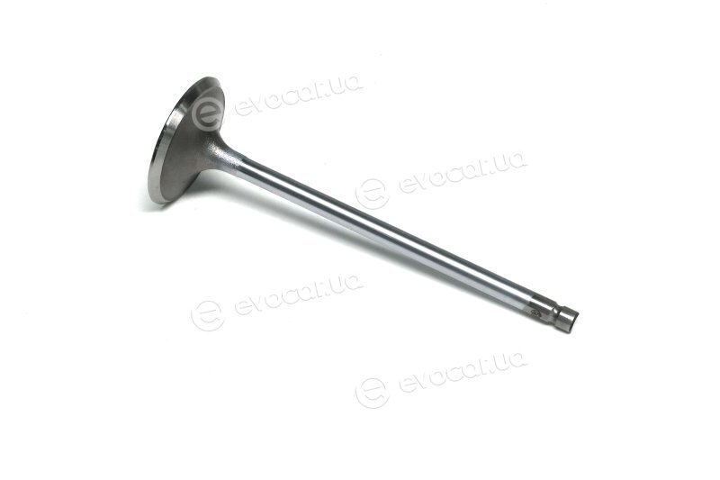 Gunes 6900