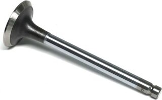 Gunes 3746