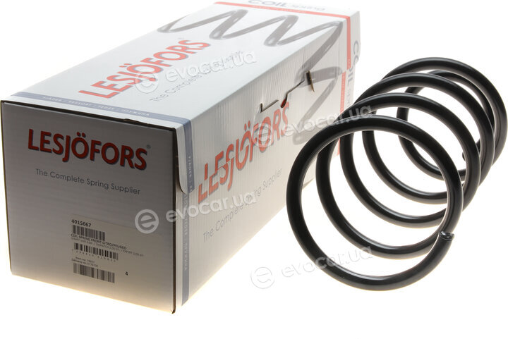 Lesjofors 4015667