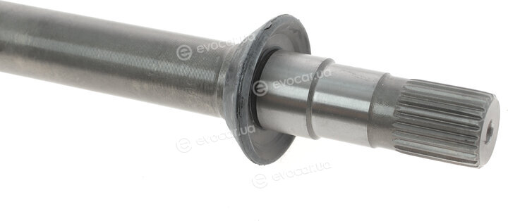Magneti Marelli 302004190048