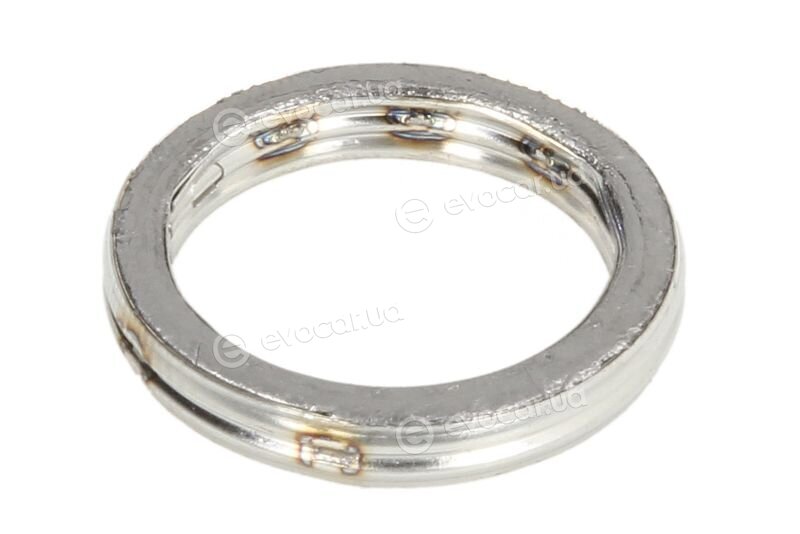 Elring 593.100