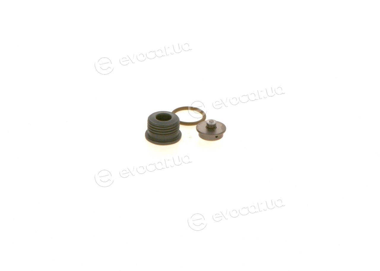 Bosch F 00N 201 244