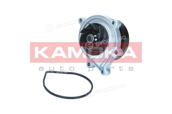 Kamoka T0299