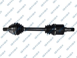 GSP 218363