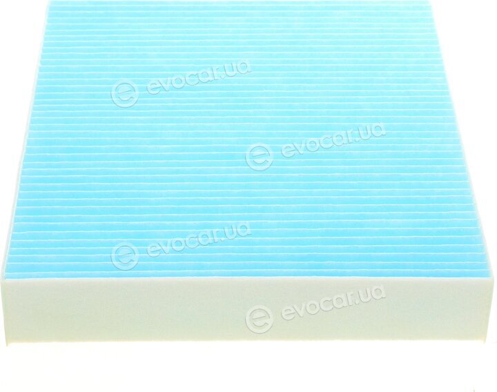 Blue Print ADG02561