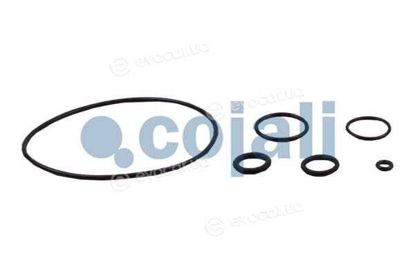 Cojali 6034034