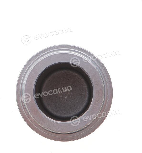 Frenkit P525001