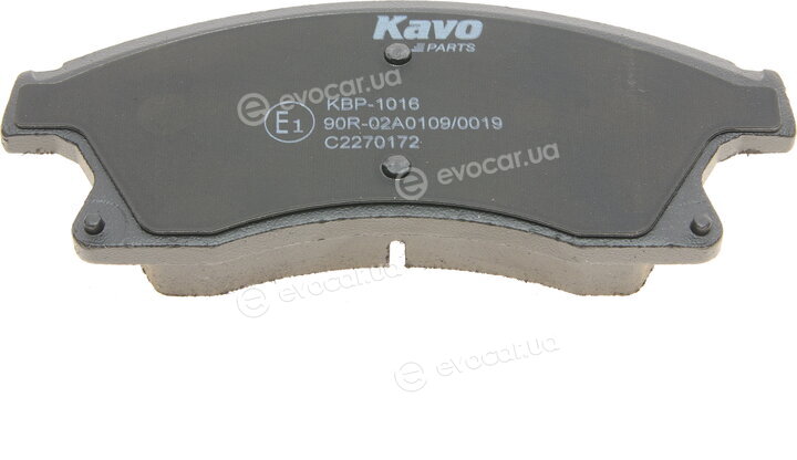 Kavo KBP-1016