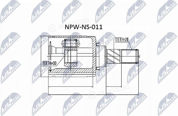 NTY NPW-NS-011