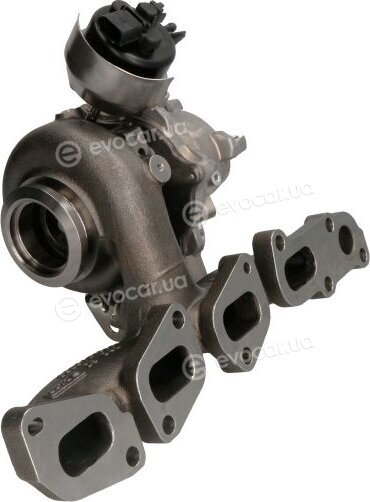 BorgWarner 53039880621