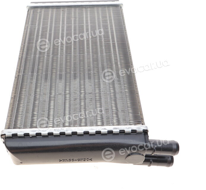 Van Wezel 58006061