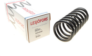 Lesjofors 4237219