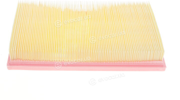 Solgy 103056