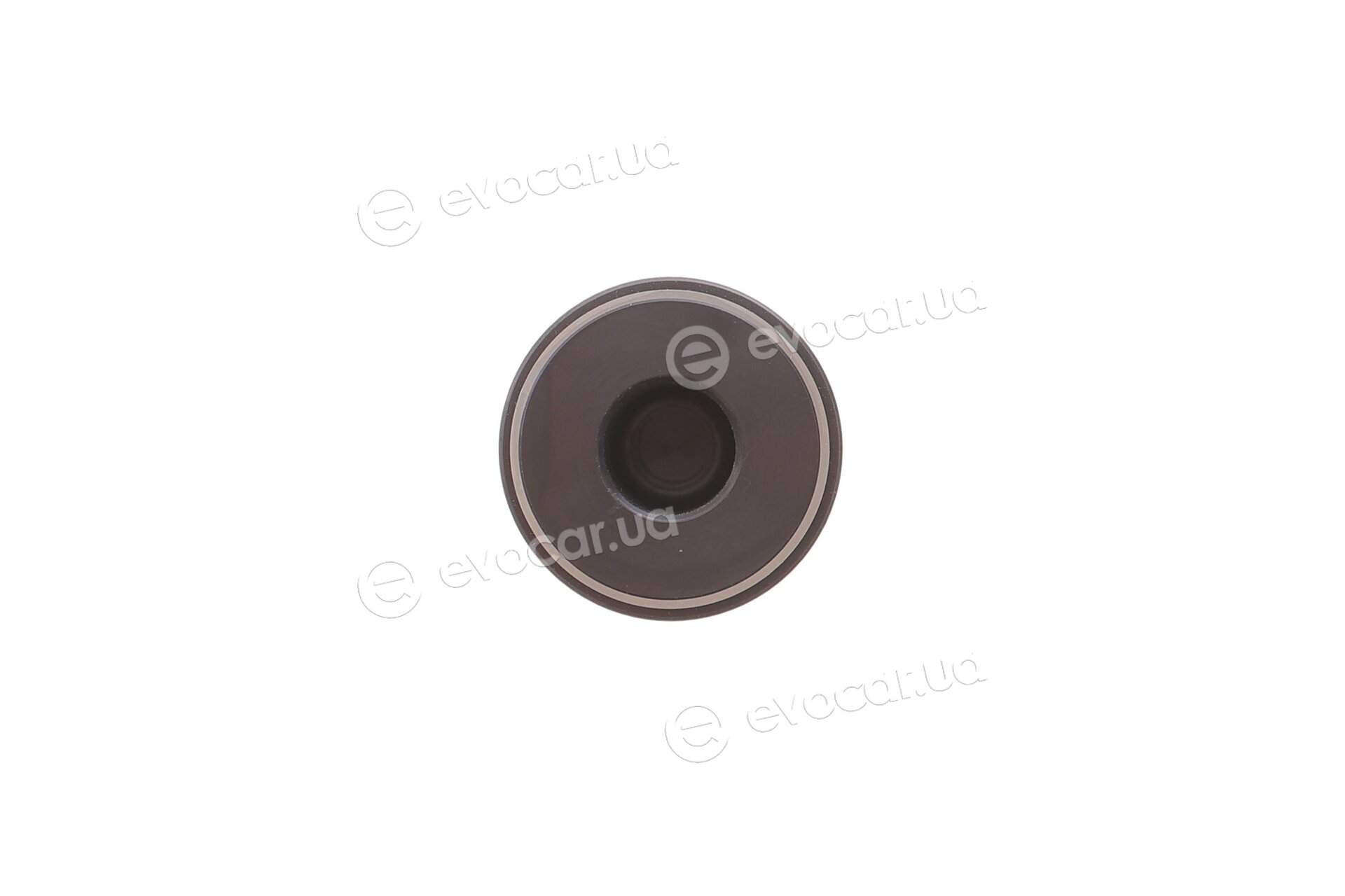 Frenkit P363004