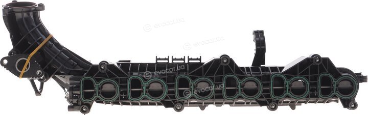 Solgy 114285