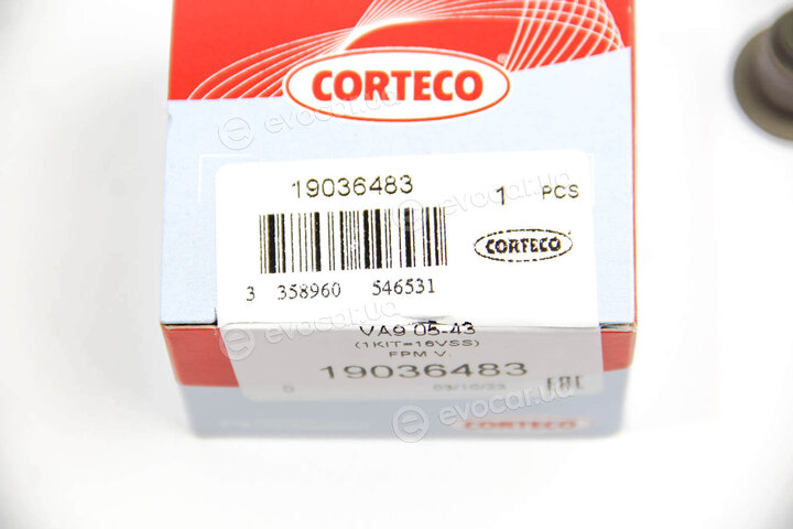 Corteco 19036483