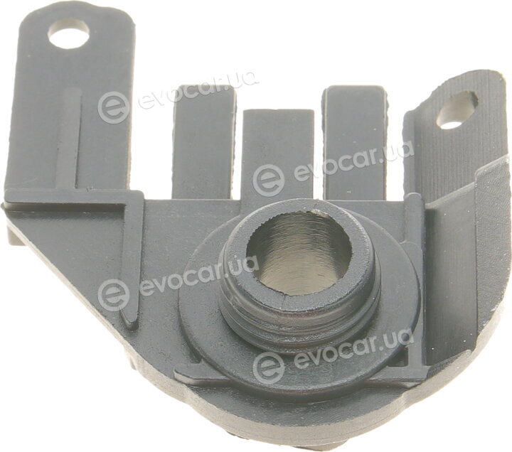AIC 55481
