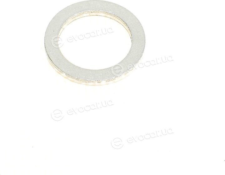 Elring 855.060