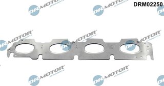 Dr. Motor DRM02250