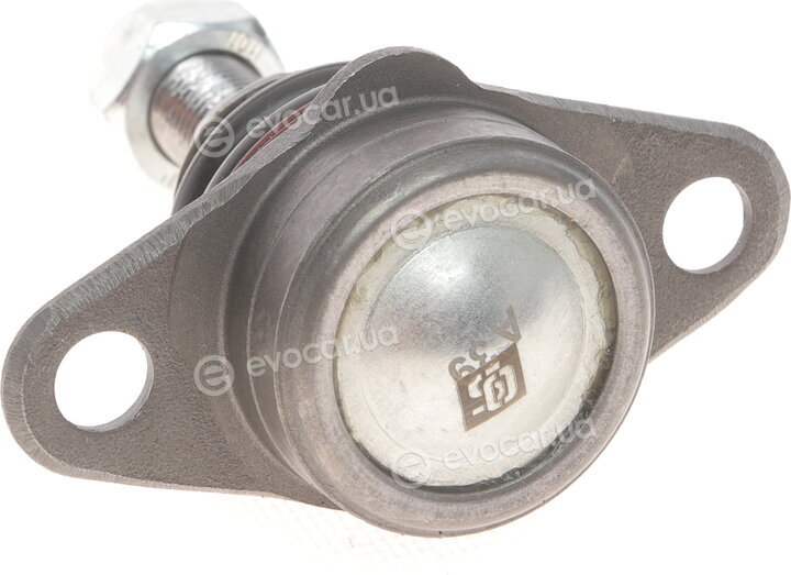 Solgy 203129
