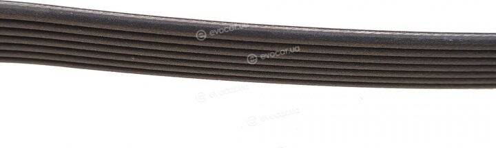 Dayco 7PK2050