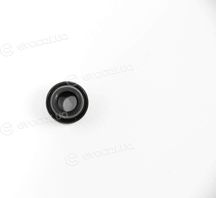 Elring 206.954