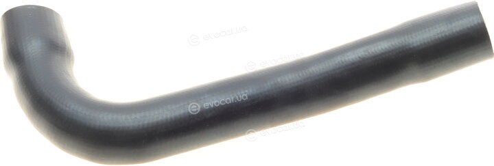 Solgy 112074